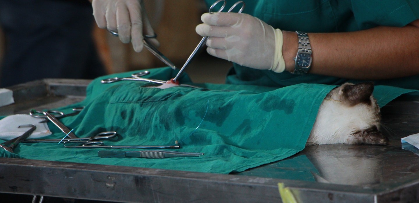 infotanksmedia banner