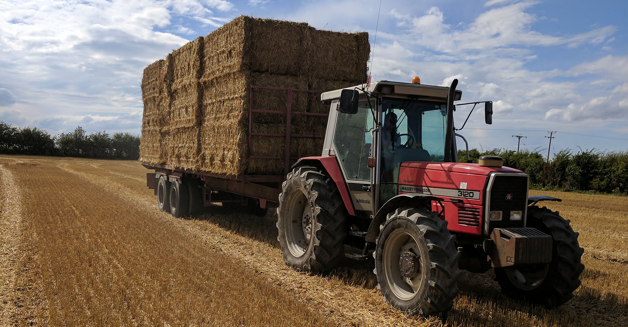 infotanksmedia banner