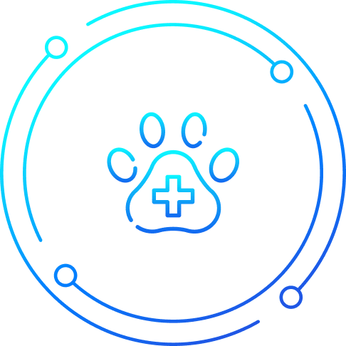 Veterinarian Email List