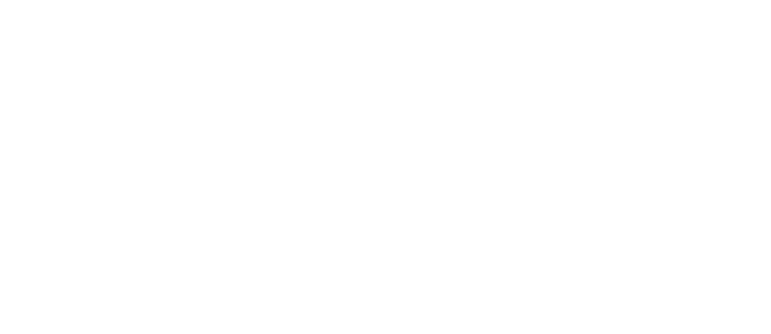 american (1)