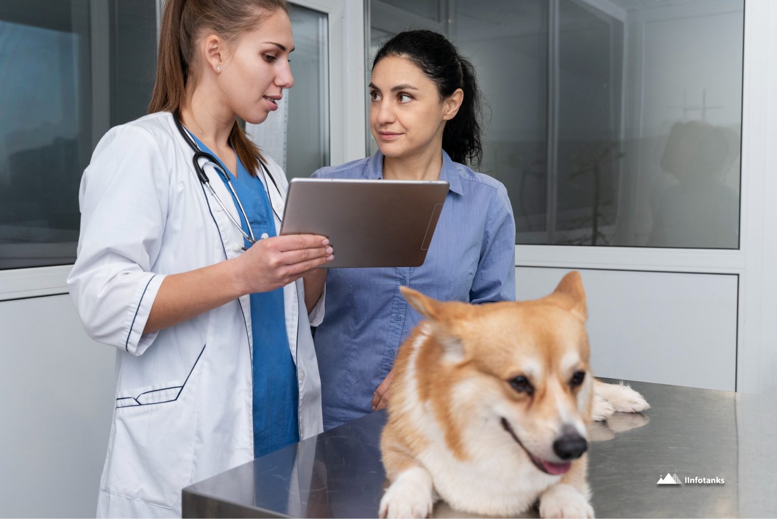Get Verified Veterinarian Email Lists_ Stop Wasting Time on Outdated Leads