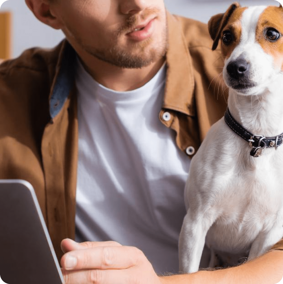 How Businesses Can Leverage Our Canadian Veterinarians Email List