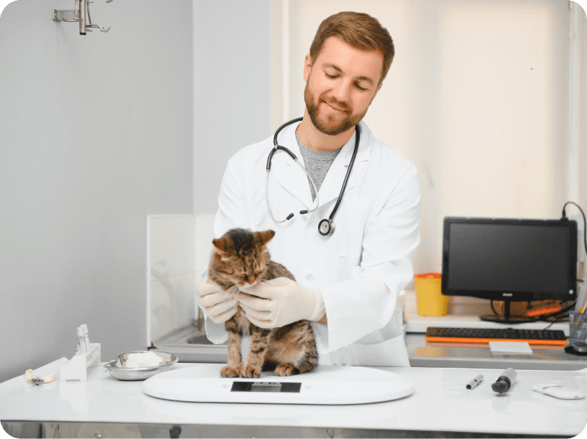 Benefits and Features of IInfotanks’ US Veterinarians Email List