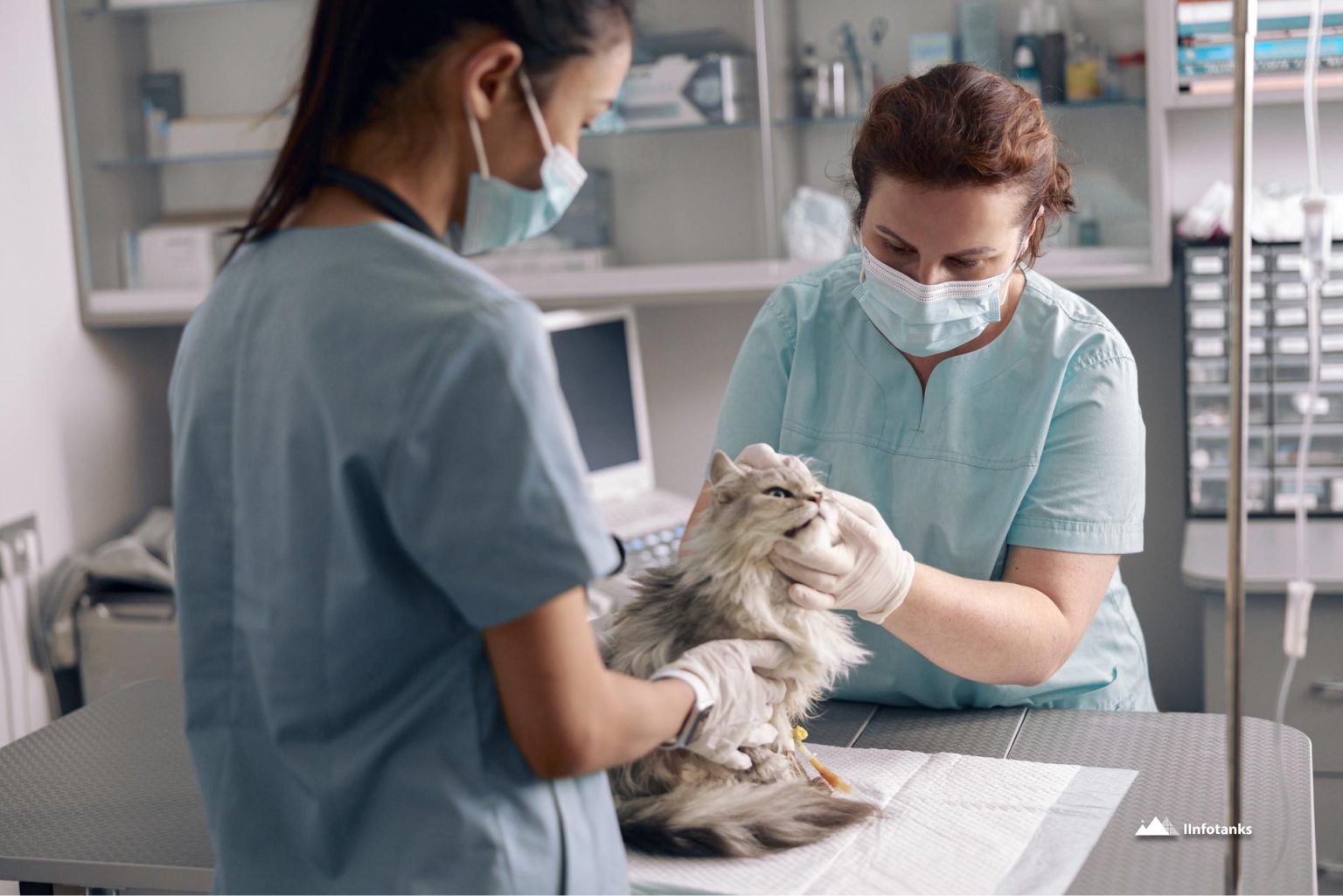 The Problem_ Why Outdated Veterinarian Email Lists Cost You Time and Money