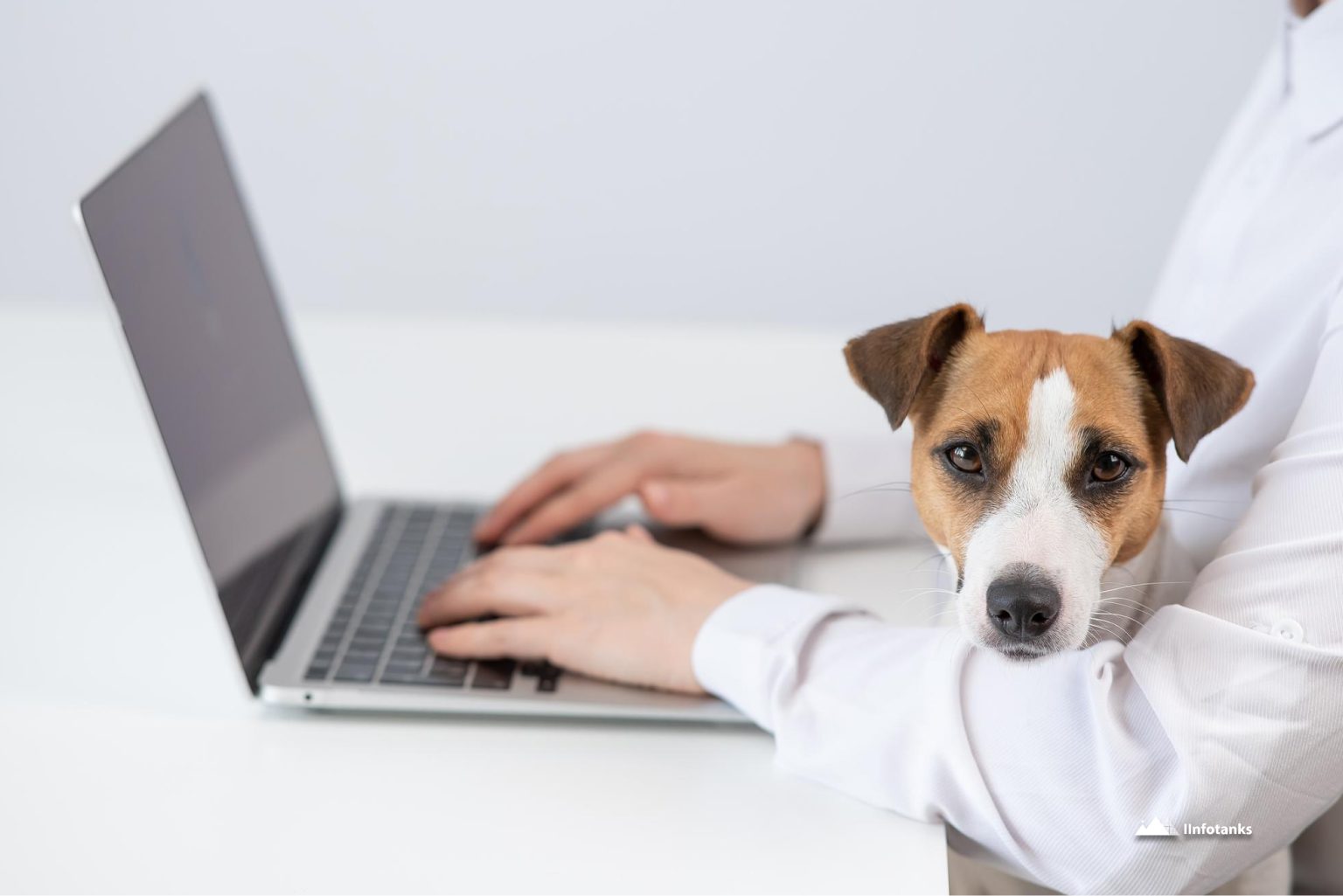 Tips for Launching Successful Email Marketing Campaigns to Veterinarians
