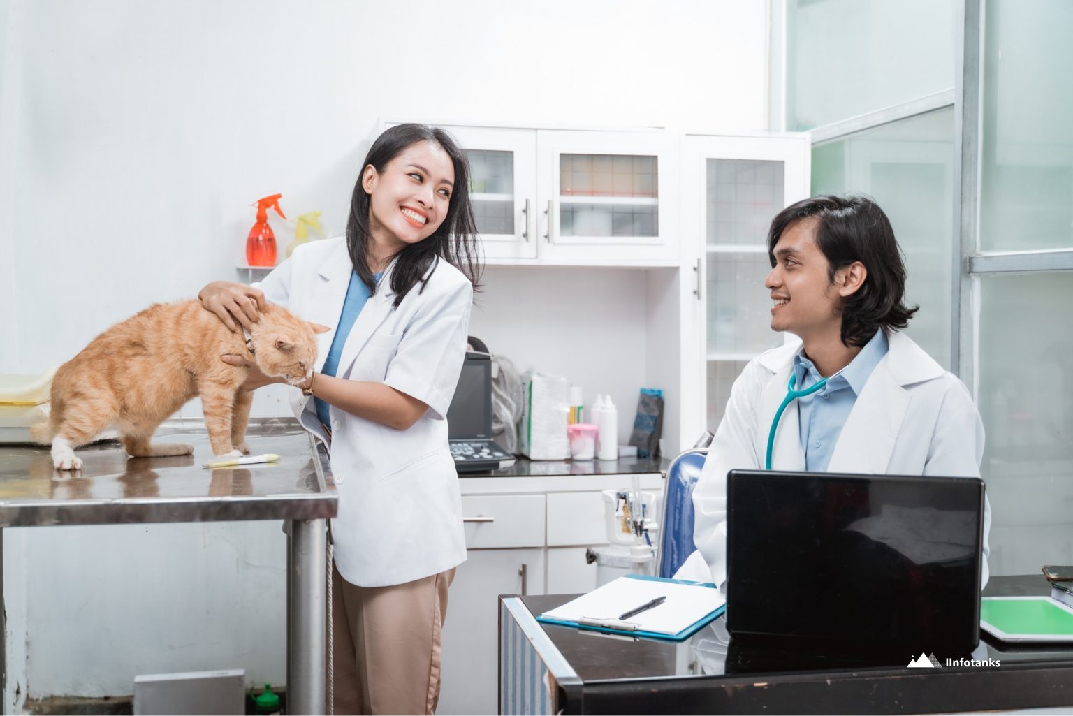 Boost Your Marketing with IInfotanks’ Veterinarian Email List USA