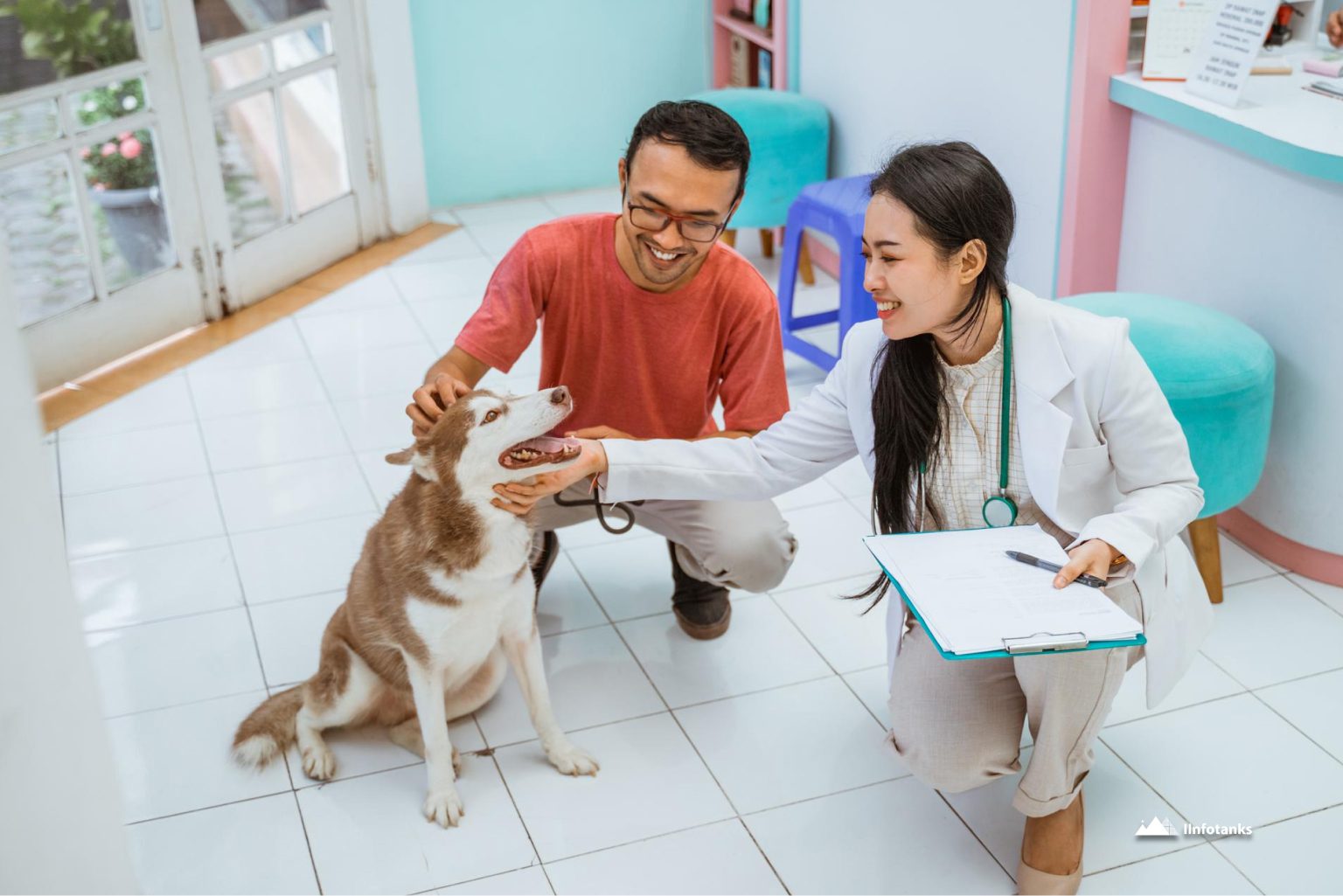 Understanding the Veterinarian Email List