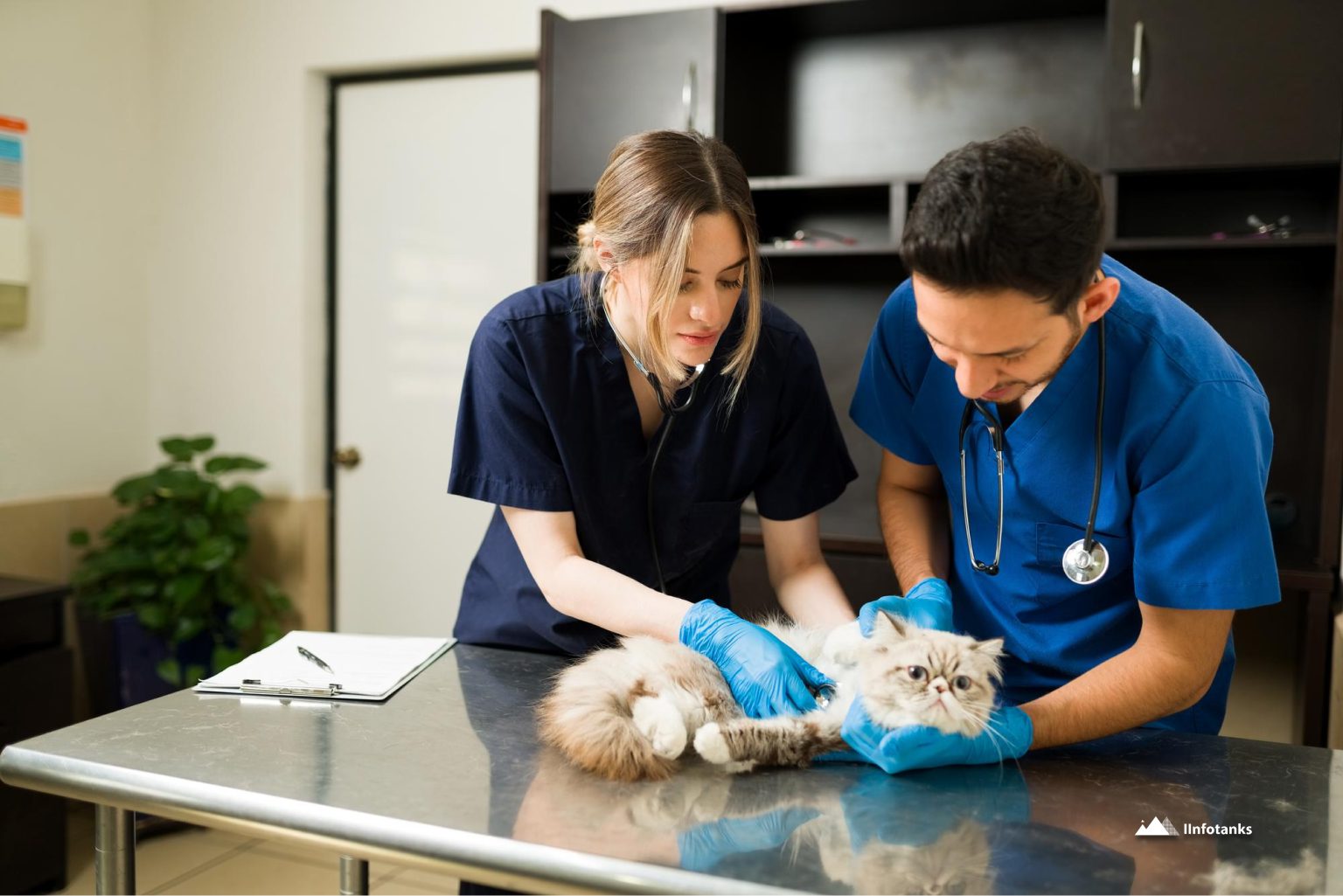 What Is the Most Trusted Place to Buy Veterinarians Email Lists, and What’s the Right Way to Do That_