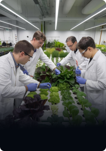 Biotechnology Start Ups Incubators