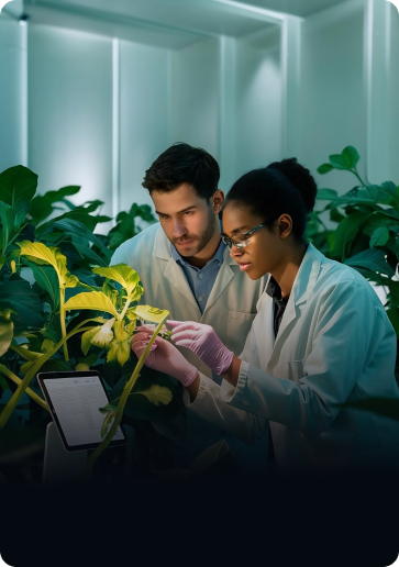 Sustainability Tech Providers
