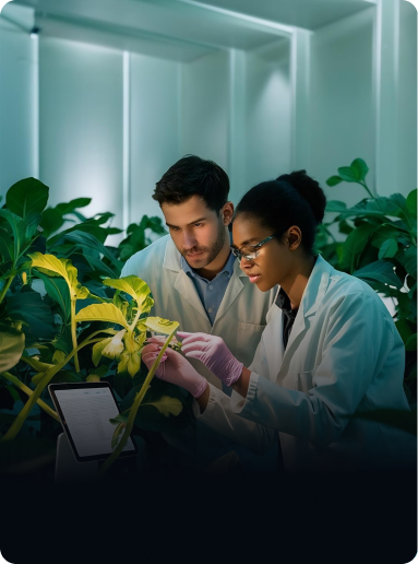 Sustainable Feed Nutrition Innovators