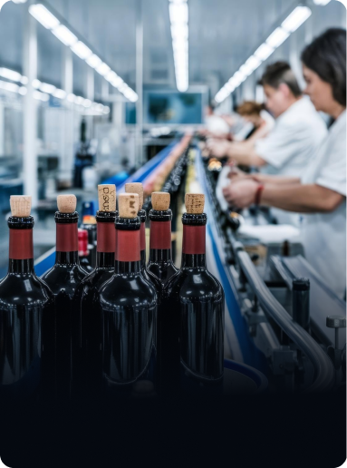 Wine Equipment Technology Suppliers