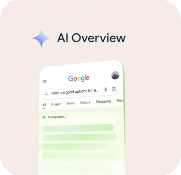 AI Overview Optimization
